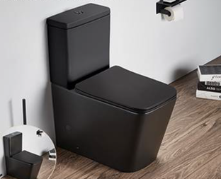 Унитаз напольный CeramaLux 2170AXMB