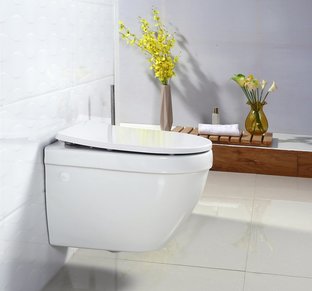 Унитаз подвесной BelBagno Cento-R  BB509CH