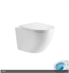 Безободковый подвесной унитаз микролифт дюропласт Торнадо Gid Tr2198TF